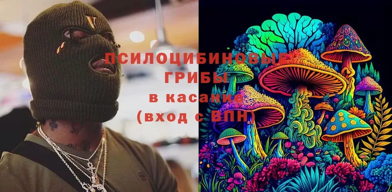 MEGA ТОР  Тобольск  нарко площадка телеграм  Псилоцибиновые грибы Cubensis 